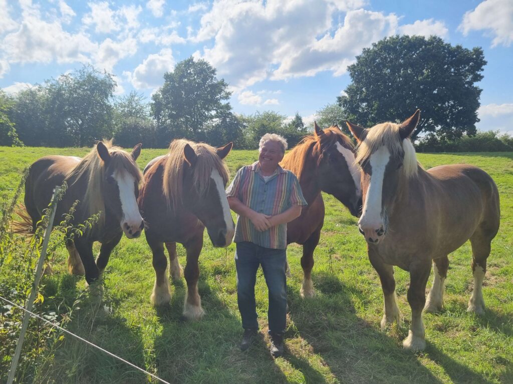 Arne und seine Pferde